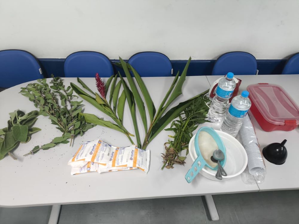 Introdução das plantas medicinais nas DCNT na APS carioca